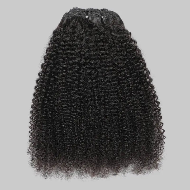 Afro Kinky Curly Clip-In Hair Extensions
